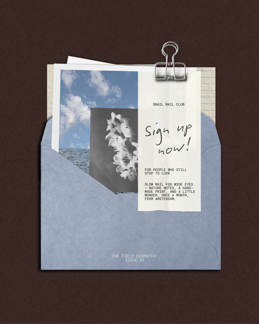 Snail Mail Club